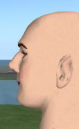 Kim's 2L Avatar as a guy, left-side close-up of head